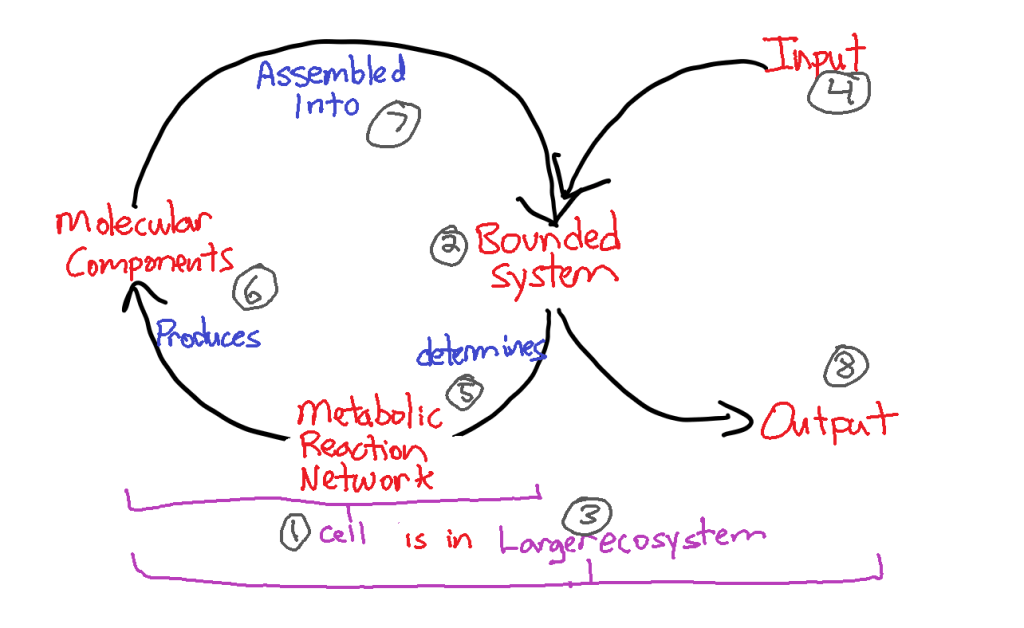 A close up of text on a white background
Description automatically generated