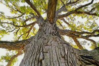 Photo by Dulcey Lima on Unsplash